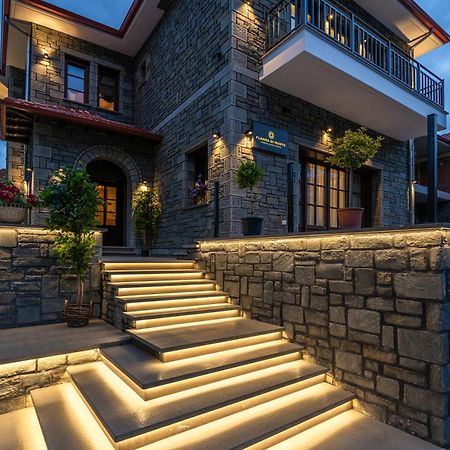 Floara Di Munte Forest Luxury Suites Metsovo Luaran gambar